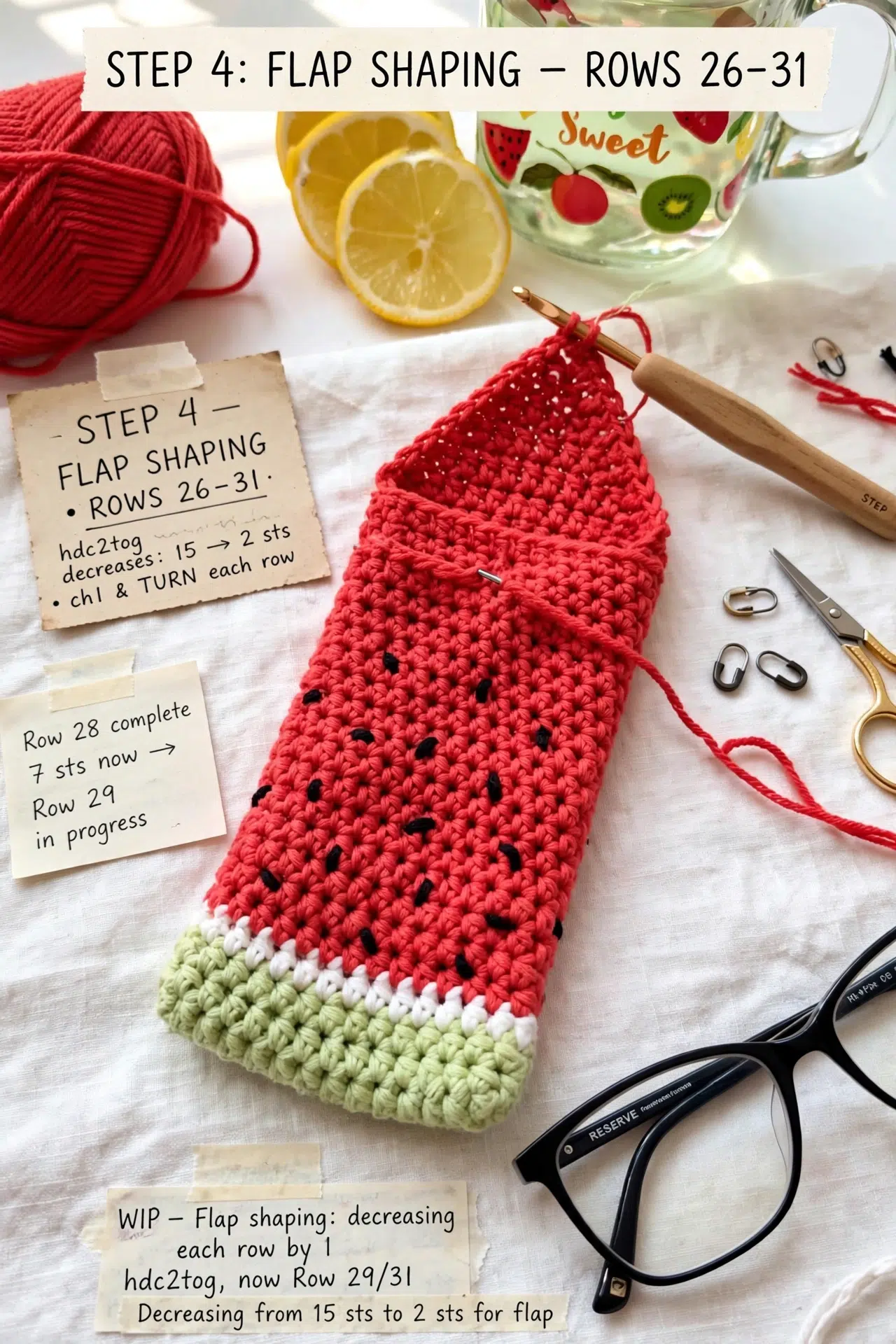 Watermelon Glasses Case Crochet Pattern